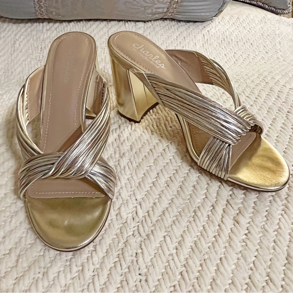 SOLD - NIB Charles David Metallic Gold and Silver Razzle Block Sandals Heels